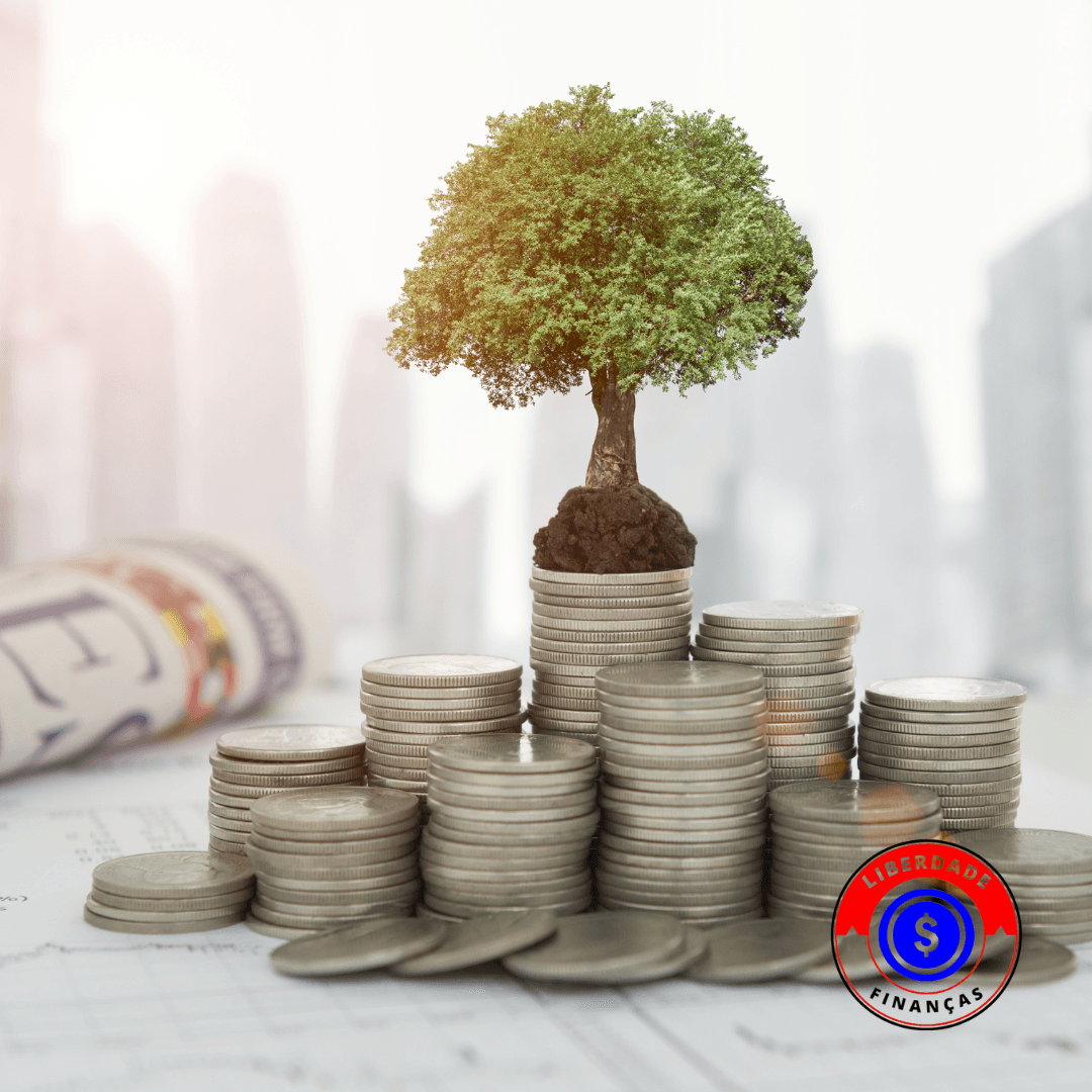 investimentos de longo prazo